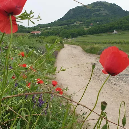 Keszi Széli Apartman Gyulakeszi