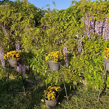 Keszi Széli * Gyulakeszi