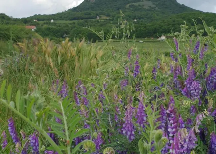 Keszi Szeli Vendeghaz