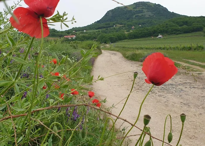 Keszi Szeli Vendeghaz דירה Gyulakeszi