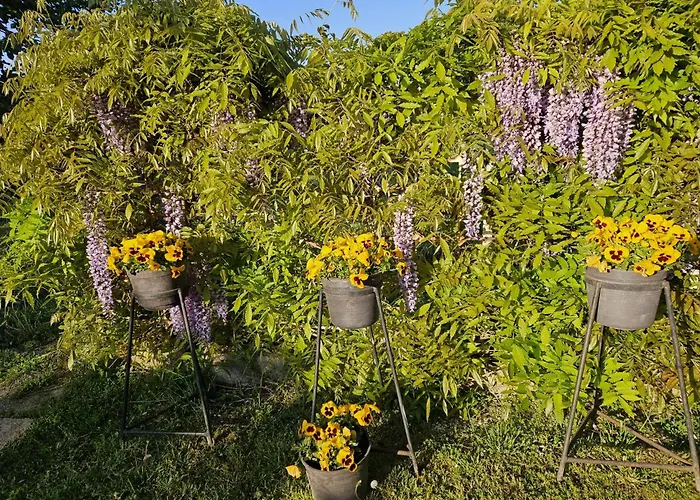 Keszi Szeli Vendeghaz * Gyulakeszi